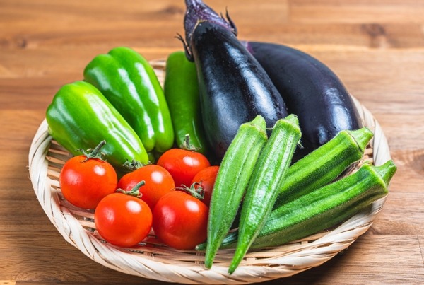 風と大地のめぐみ 凧フェスティバル&産業まつり2025