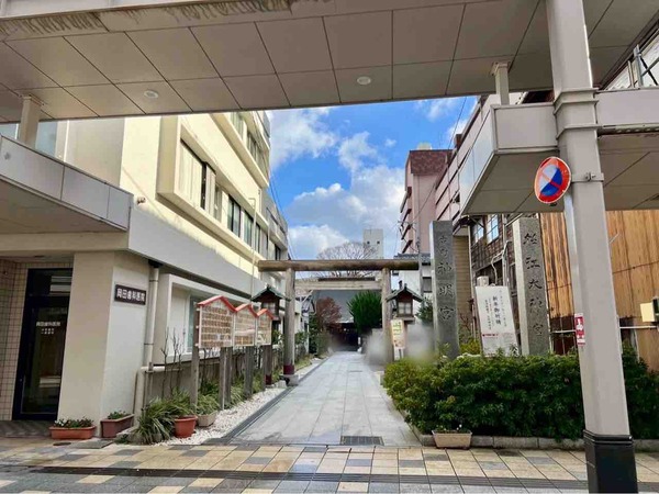 カミフルもちつき