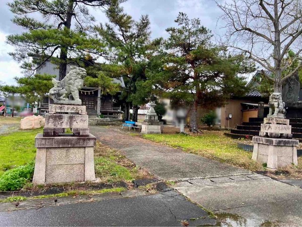 元旦巻ダッシュ