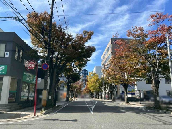 2025NIIGATA光のページェント