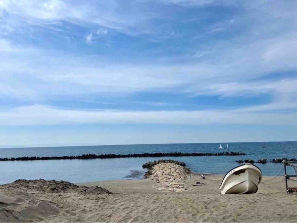 2026 新春寒中水泳