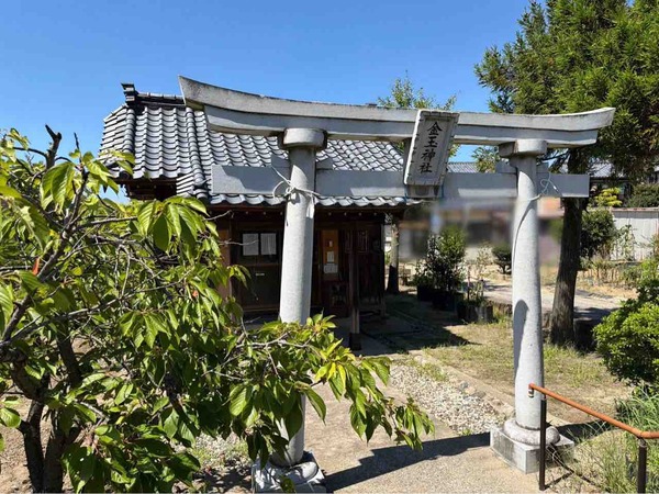 金玉白龍権現神社