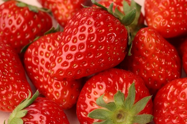 540円でいちご盛り放題！1人1回限り！『とんとん市場 松崎店』で『越後姫盛り放題』開催！2月28日。