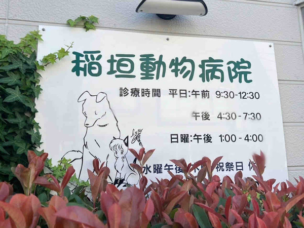 葬送のフリーレン