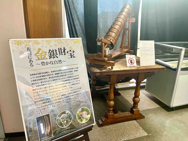 新潟県立植物園 クリスマス展