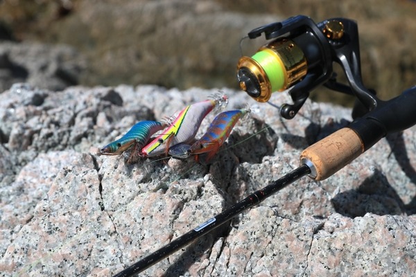 にいがたフィッシングショー