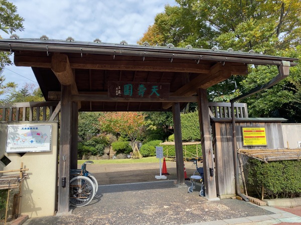 紅葉スポット2024 新潟市 天寿園