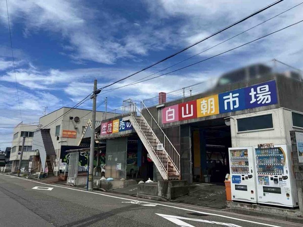 植物天国 in 白山市場