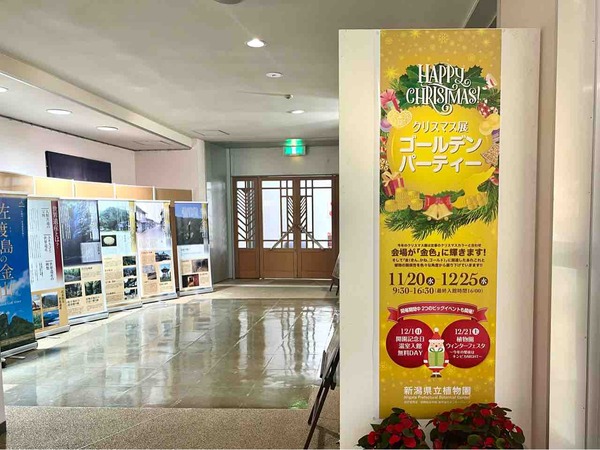 新潟県立植物園 クリスマス展