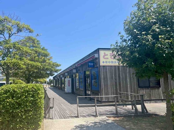 青島食堂 司菜 朱鷺メッセ店