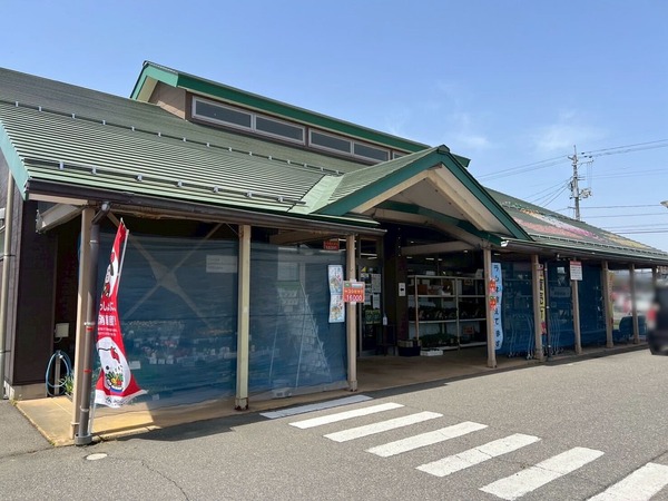 野菜アラカルト詰め放題