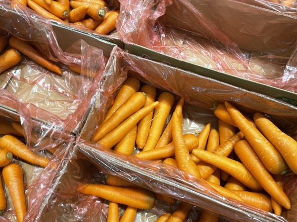 果物・野菜詰め放題