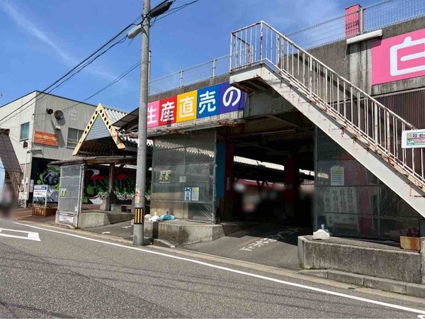植物天国 in 白山市場