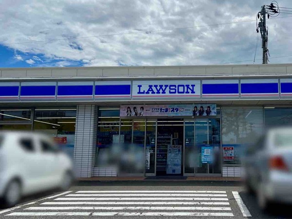 からあげクン 亀田の柿の種味 ピリ辛しょうゆ