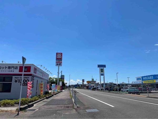 ダイソー新潟白根店(DAISO)