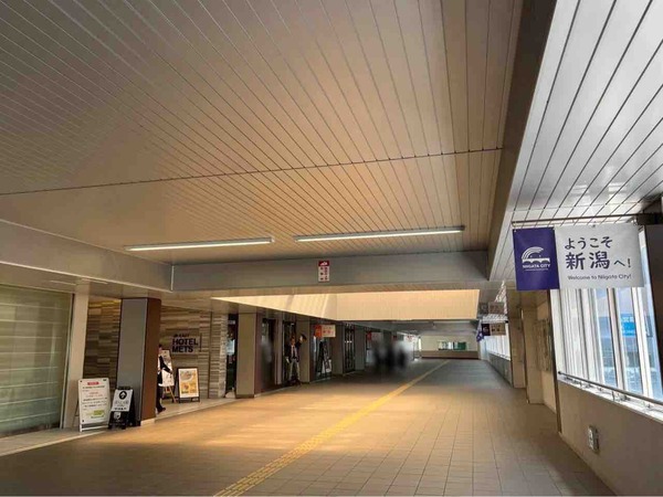 第29回 新潟日本酒リーグフェスタ2025秋