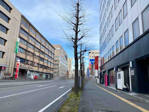 紅虎餃子房 新潟店