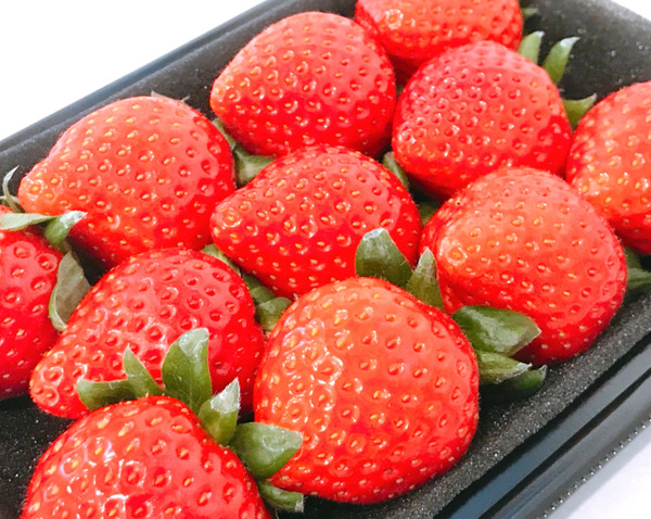 春花・舞花～いちごフェア～ いくとぴあ食花