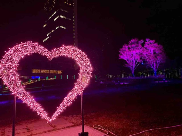 万代島 光の架け橋2026 NIIGATA 2KM LIGHT WALK