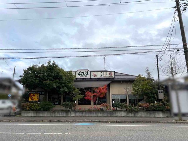 とんかつ どれ味