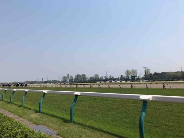 第1回新潟競馬