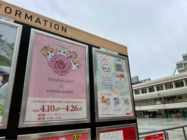 mofusand × 日比谷花壇 Collaboration Store