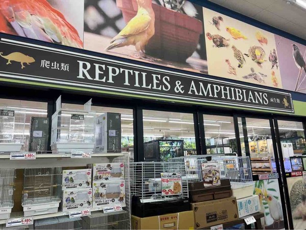 爬虫類即売会
