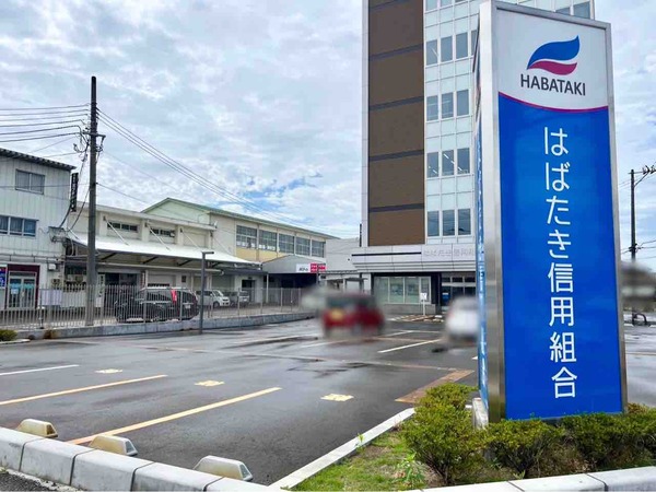 KAMEDA Cherry Blossoms