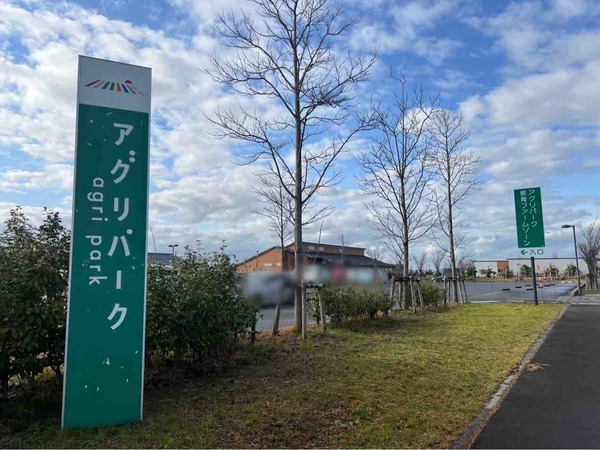 どんど焼き