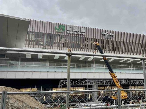 グッドライフマーケットinガタリウム