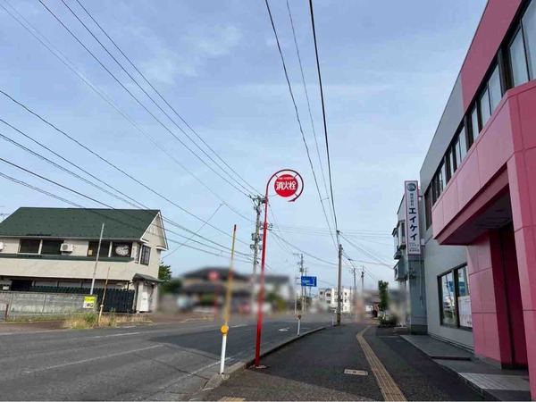 風とパクチー