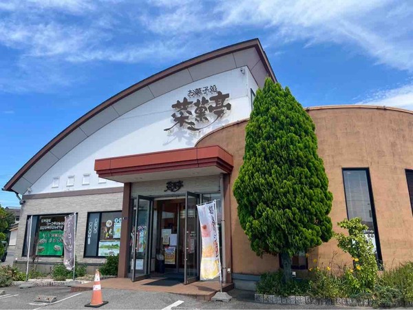 お菓子処 菜菓亭 葛アイスキャンデー