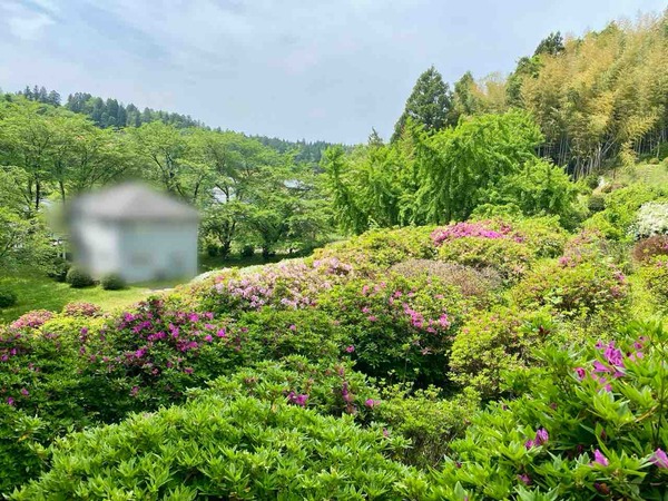 さつき山公園