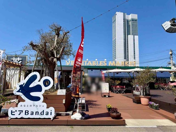 きよみオレンジ詰め放題