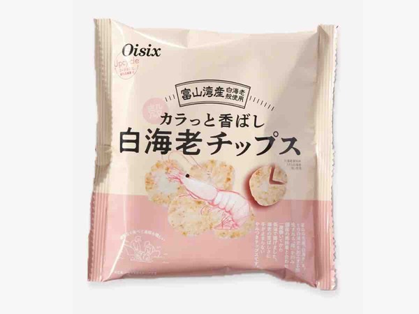 にいがた環境フェスティバル2025