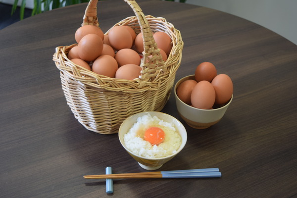 新潟_ツバメファーム_アスタ卵