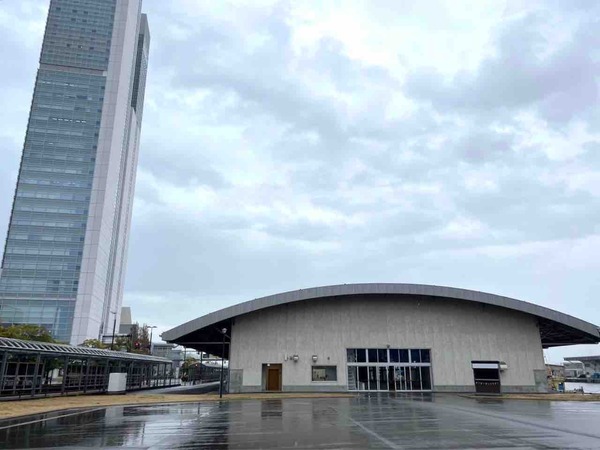 ミナト・イン・ワンダーランド