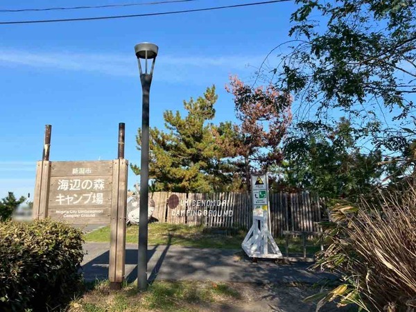 海辺の森アートフェスティバル×にいがた木の祭典2025