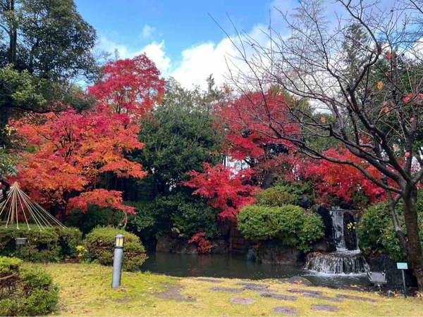 1位は大人気テレビ番組！2025年11月に最も読まれた人気記事は？11月人気記事まとめ。