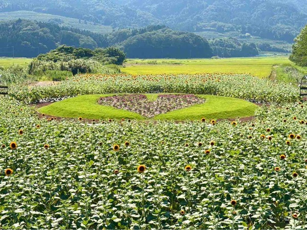 上堰潟公園