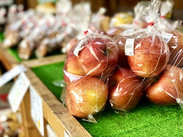 上堰潟ハロウィンまつり2025～秋の収穫祭～