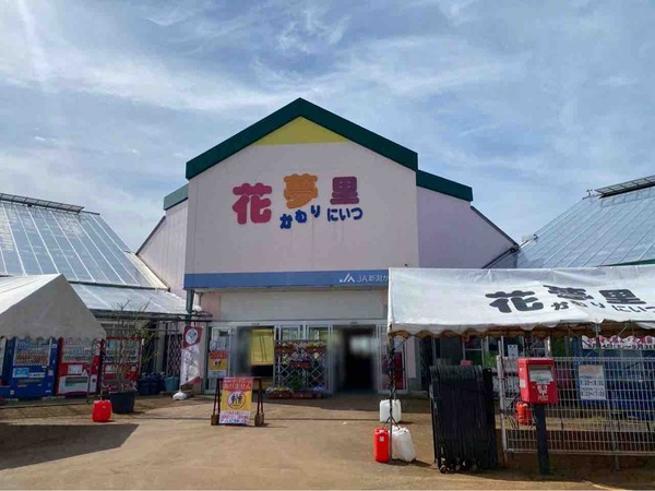 道の駅 花夢里にいつ