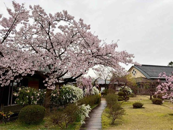 天寿園のみの市