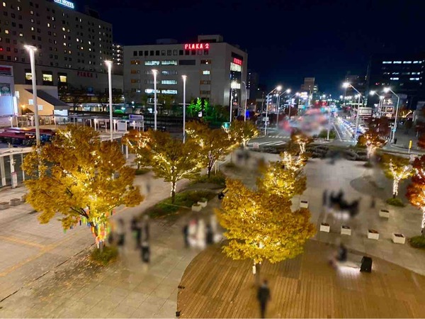 2025NIIGATA光のページェント
