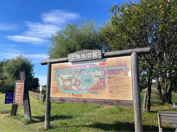 紅葉スポット2024 新潟市 上堰潟公園