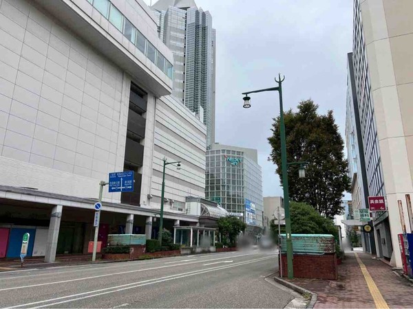 感化 ヌーベルシノワ