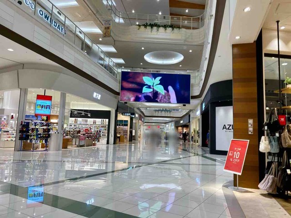 THE BODY SHOP（ザボディショップ）