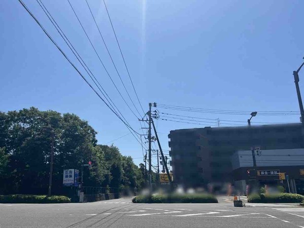 工事の伐採木 中部下水処理場