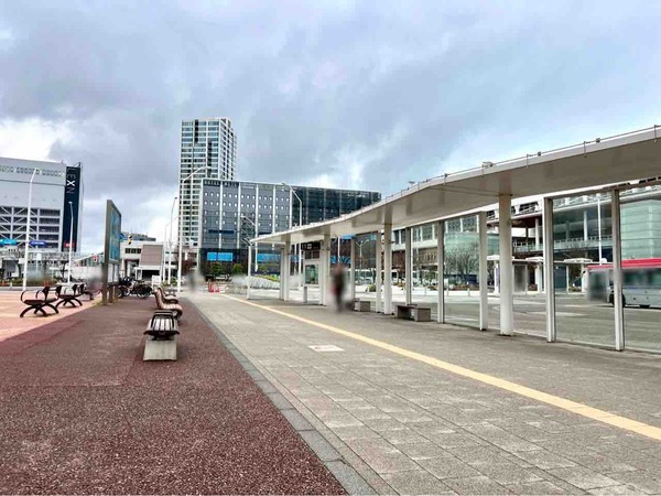 新潟駅 カロリーメイト
