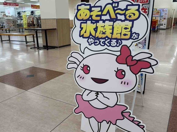 アピタパワー新潟亀田店
